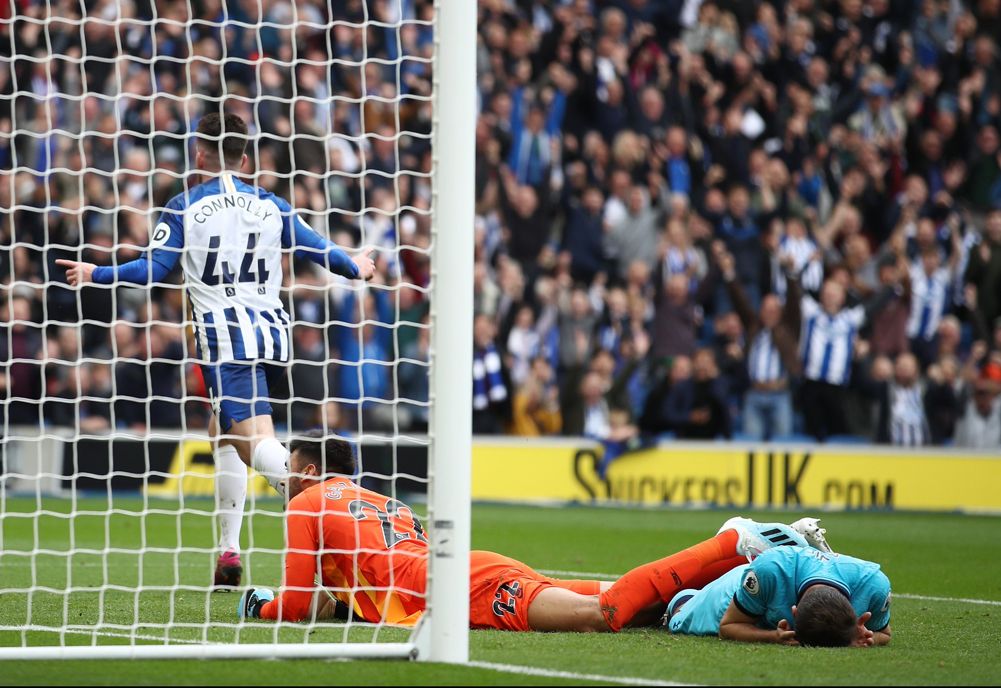 投注者而言 投注者而言